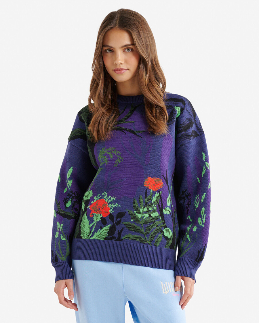 suéter con cuello redondo roots x wicked