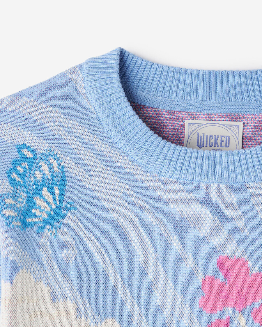 suéter con cuello redondo roots x wicked