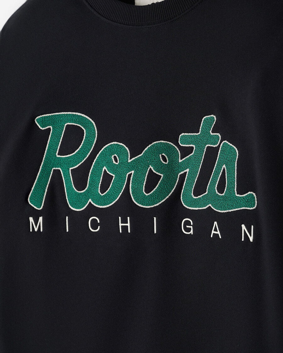 equipo local de raíces de michigan
