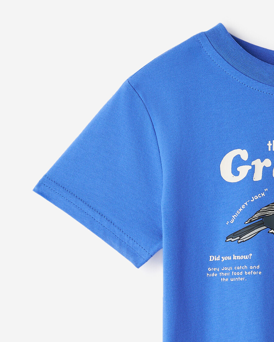 camiseta gráfica con datos sobre animales para niños pequeños