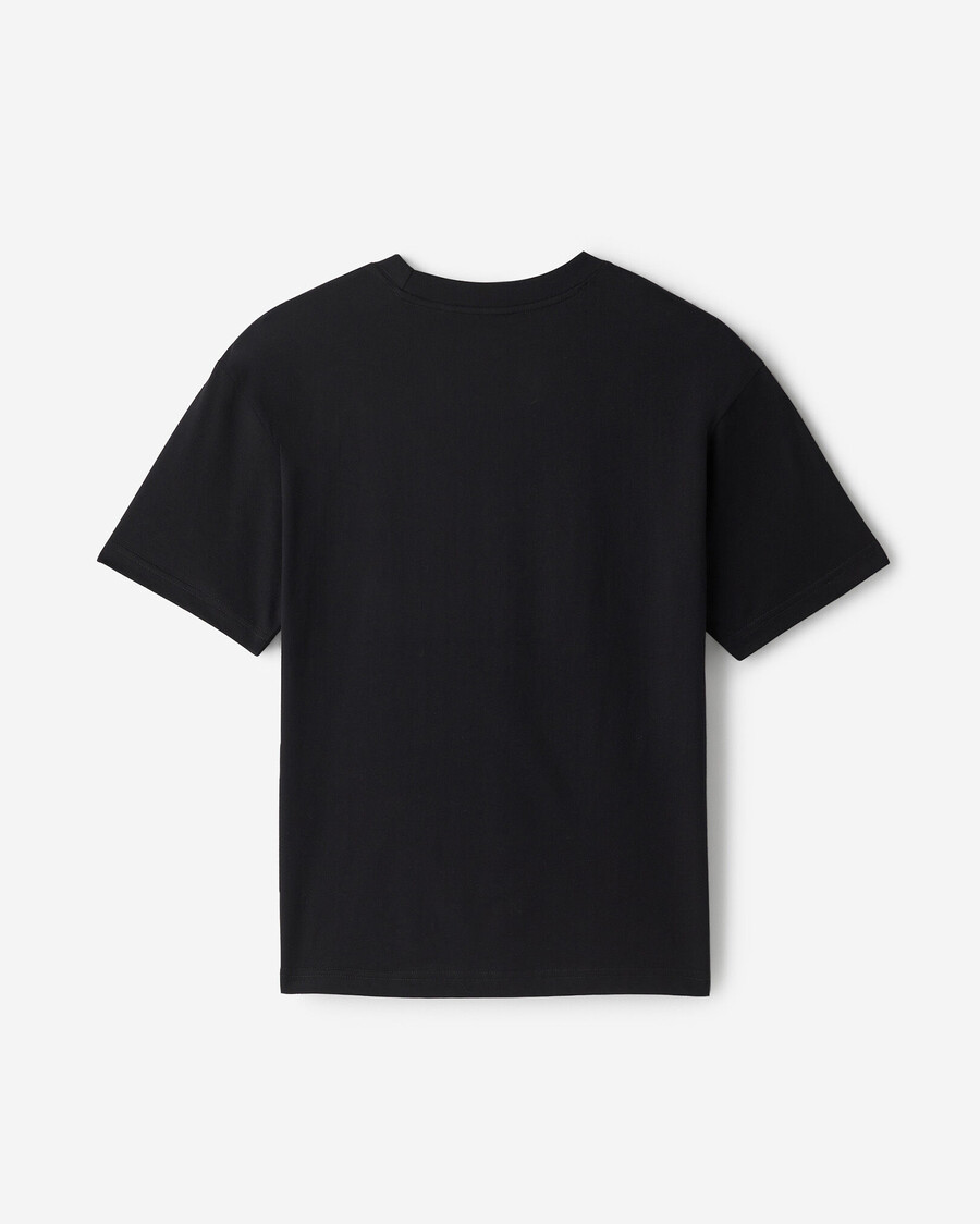 camiseta saludos desde el norte