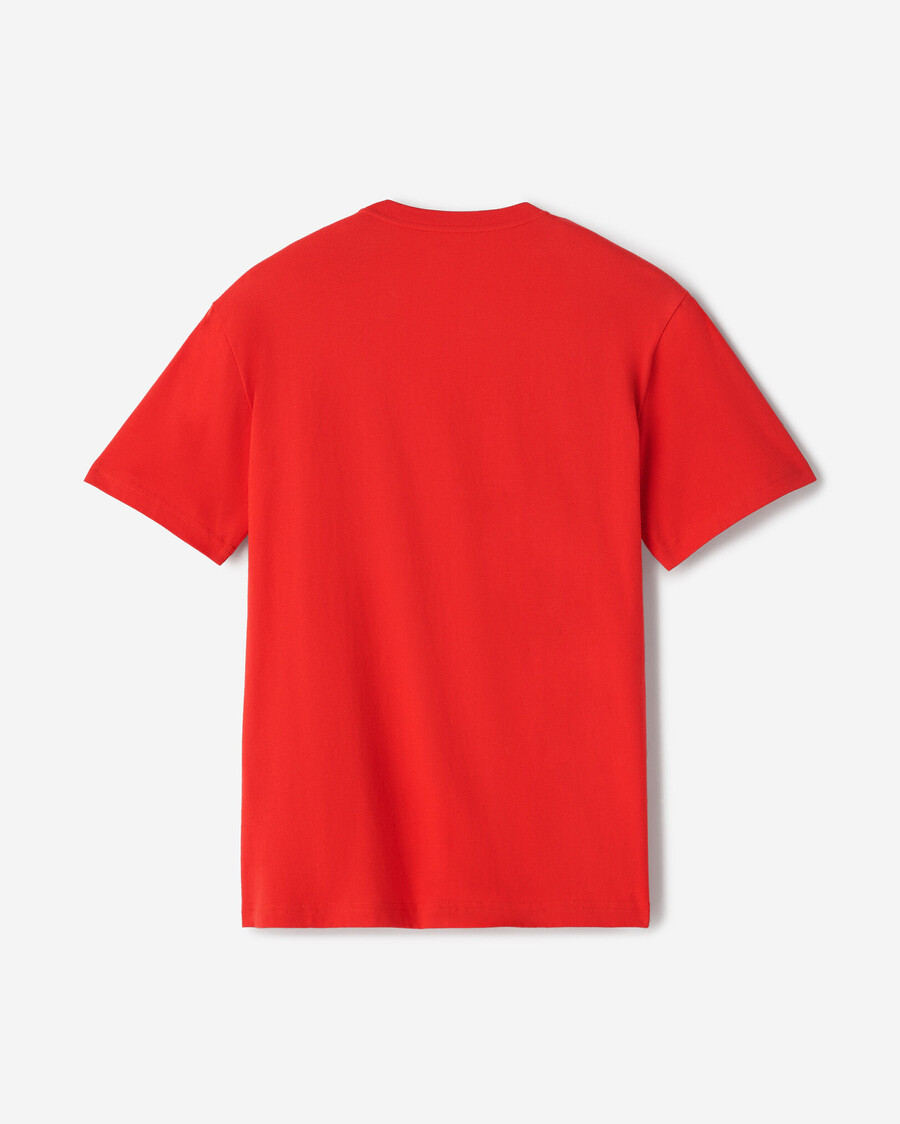 camiseta northern roots